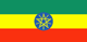 Addis Ababa flag