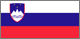 Ljubljana flag
